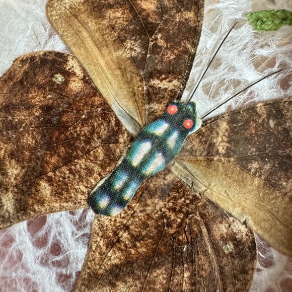 Vintage Round Bamboo Decorative Tray and Coaster Set with Butterflies and leaves - Picture 8 of 8